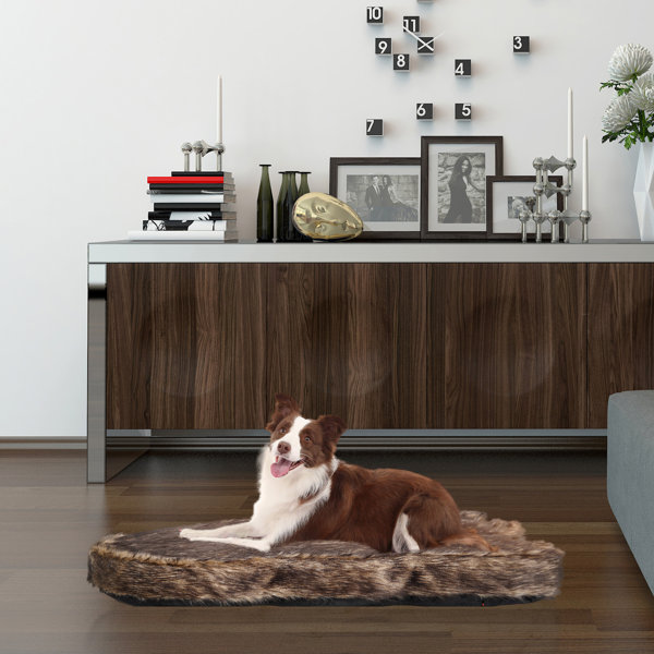 Tucker Murphy™ Pet Large Faux Fur Dog Bed,5Inch Thick Grade Orthopedic